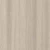 سنديان ابيض
